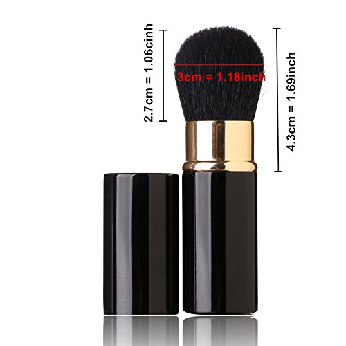 Moveable Retractable Make-up Brush - Goat Hair - Mini Blush and Free Powder Basis Beauty Software